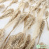 Translucent Tulle Mesh Fabric Feathers Appliqued For Evening Dresses Wedding Party Dance