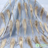Translucent Tulle Mesh Fabric Feathers Appliqued For Evening Dresses Wedding Party Dance