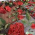 120cm Red Pink Peony Flower Embroidery Lace Fabric Net Fabric Floral Women Dress Materials by Yard