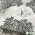 Cotton Poplin Polyester Fabric for Dress Printed Stretch Satin Spandex French Luxury Brand Fashion Design Sewing by the Yard