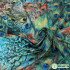 Digital Print Peacock Swimwear textile Knit Spandex Fabric Elastic Material 155cm wide by Yard