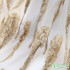 Translucent Tulle Mesh Fabric Feathers Appliqued For Evening Dresses Wedding Party Dance