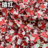 Cotton Rabbit Fabric 100% Cartoon Handmade Clothing Red Chinese Style for Sewing by Half Meter