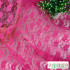No Stretch Lace Fabric Rose Flower Plum Bossom Peony for Sewing Clothes Curtain Mesh by Meters