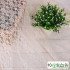 Lace Fabric No Stretch Rose Flower Plum Bossom Peony for Sewing Short Skirt Clothing Curtain Mesh per Meters