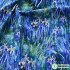 Oil Painting Fabric Sewing Clothes Quilting Pure Cotton DIY Handmade for Patchwork by Half Meter