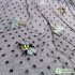 Insects Embroidered Lace Fabric Dot Mesh Fabric Bee Butterfly Fabric Dress Making 150cm wide