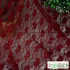 No Stretch Lace Fabric Rose Flower Plum Bossom Peony for Sewing Clothes Curtain Mesh by Meters