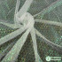 iridescent nylon net fabric multicolor peacock feather style summer clothes bridal wedding dress making
