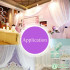 No Stretch Lace Fabric Rose Flower Plum Bossom Peony for Sewing Clothes Curtain Mesh by Meters