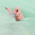 Props for Photo Background Mesh Fabric for Home Decor Wedding Decoration Sage Performances per Meters