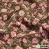 Floral Corduroy Fabric New Arrival Geometric Flower Line Printed for Sewing Dress Pants Upper Kids Clothes Handmade by Half Mete