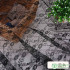 No Stretch Lace Fabric Rose Flower Plum Bossom Peony for Sewing Clothes Curtain Mesh by Meters