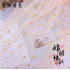 Bronzed Star Soft Mesh Lace Fabric For Girls'  Tulle Dress And Garmant Sewing Decorative Mesh Fabric 45*160cm/Piece TJ0262