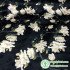 Chinese Style Jacquard Silk Fabric Printing and Dyeing Mulberry Silk Stretch Satin Cheongsam Dress Cloth Clothing Fabric