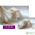 150cm width Chiffon fabric soft fabric for dress lining cloth material 30d georgette fabrics wedding GH03