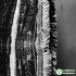 Jacquard Fabric Double-sided Black White Texture Clothing Designe Cloth Apparel for Diy Sewing Cotton Polyester Material