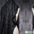 Jacquard Fabric Yarn Bottom Texture Shirt for Dress Designer Cloth Apparel Diy Sewing Pure Polyester Material